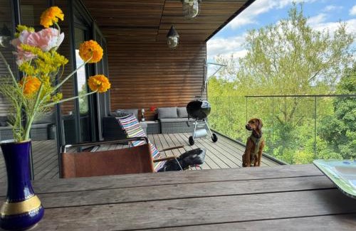 Ittel Apartment | Ferienwohnung Faulhauer