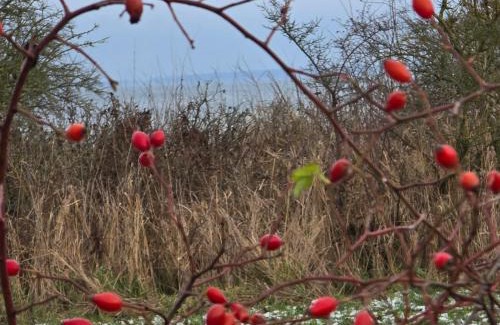 Upahl Apartment | Ferienwohnung Feldblick
