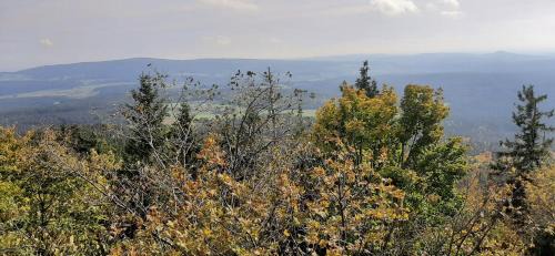 Brand Apartment | Ferienwohnung Fichtelgebirge