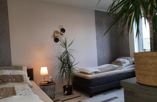 Friesoythe Apartment | Ferienwohnung Flora Friesoythe