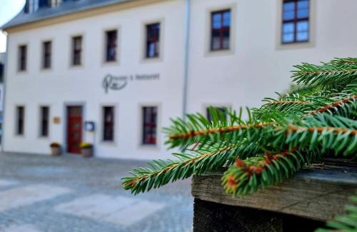 Schneeberg Apartment | Ferienwohnung Gästehaus 1979