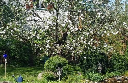Ohlstadt Apartment | Ferienwohnung Gerold