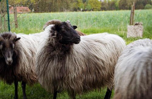 Lunzen Apartment | Ferienwohnung Gitte