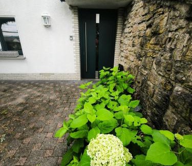 Langscheid Apartment | Ferienwohnung Gute Zeit