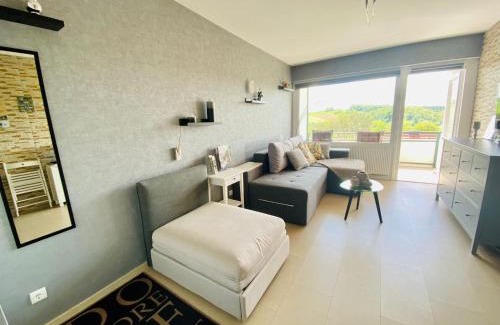 Bad Lauterberg Apartment | Ferienwohnung HAGEBUTZE Entspannung pur mit Sauna-Poolzugang