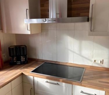 Lastrup Apartment | Ferienwohnung Hammesdammer-Land