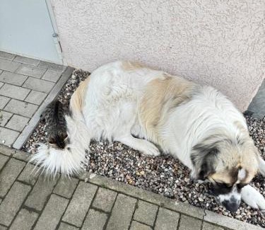 Herzberg Apartment | Ferienwohnung im Park 1