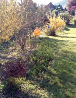 Brey Apartment | Ferienwohnung im Plenter