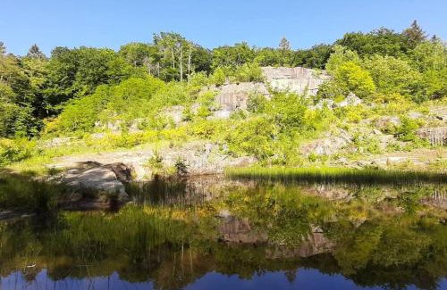 Kordel Apartment | Ferienwohnung Kleinmann in Kordel