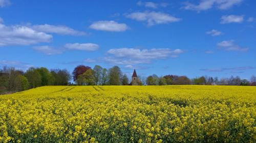 Rullschau Apartment | Ferienwohnung Landhaus