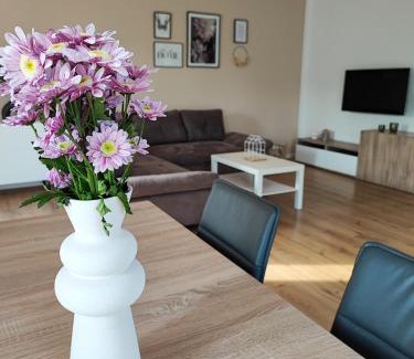 Waldsolms Apartment | Ferienwohnung Magel