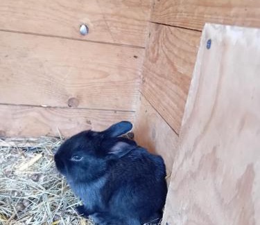 Loebau Apartment | Ferienwohnung mit Bauernhofflair