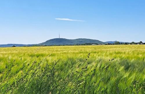 Loebau Apartment | Ferienwohnung mit Bauernhofflair