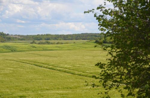 Bargensdorf Apartment | Ferienwohnung mit Blick auf die Burg Stargard