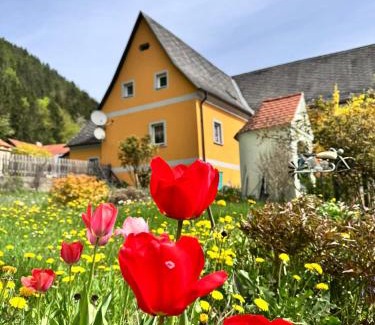 Mixnitz Apartment | Ferienwohnung-Mixnitz-Bärenschützklamm 3