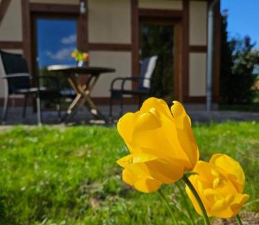 Peetsch Apartment | Ferienwohnung Peetsch am See