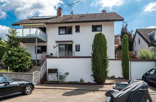 Dilsberg Apartment | Ferienwohnung Petrik