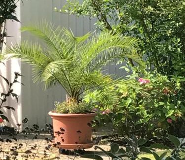 Twisteden Apartment | Ferienwohnung Poczewski