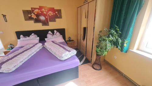 Muritz Apartment | Ferienwohnung Röbel/Müritz