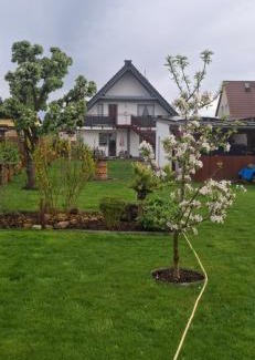 Luckau Apartment | Ferienwohnung Richter