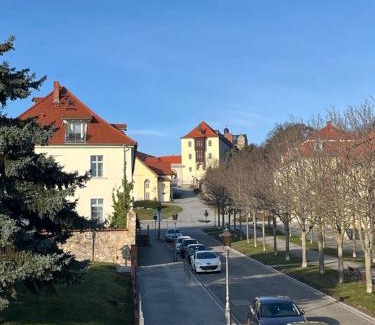 Ballenstedt Apartment | Ferienwohnung ROSA Allee34