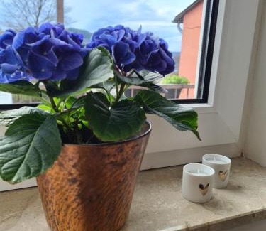 Oberemmel Apartment | Ferienwohnung Rosenberg