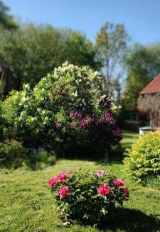 Rubitz Apartment | Ferienwohnung Rubitz