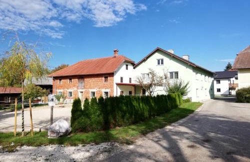 Aurach am Hongar Apartment | Ferienwohnung Schmied 3