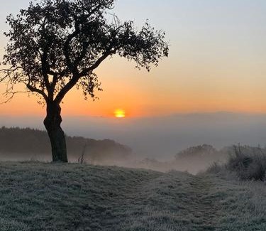 Aarbergen Apartment | Ferienwohnung Taunusurlaub