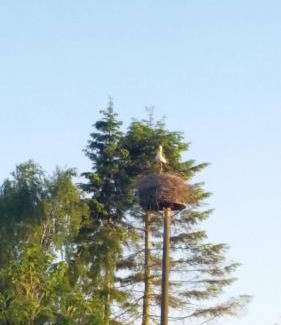 Zolkow Apartment | Ferienwohnung Thien