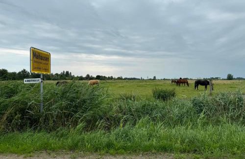 Loxstedt Apartment | Ferienwohnung und Pension Knabbe