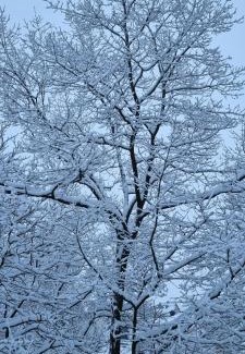 Nordhalben Apartment | Ferienwohnung Vido - Nordhalben