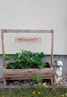 Frauenstein Apartment | Ferienwohnung Waldblick in Frauenstein