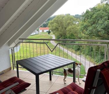 Frankenberg Apartment | Ferienwohnung Waldesrand