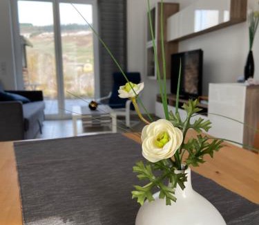 Mehring Apartment | Ferienwohnung Weinbergblick