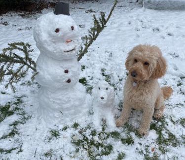 Ostritz Apartment | Ferienwohnung Wie zu Hause