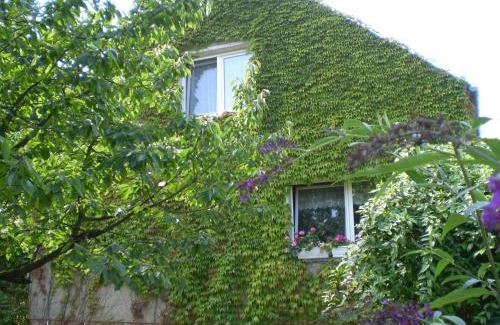 Neuruppin Apartment | Ferienwohnung Wolf