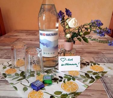 Lutzen Apartment | Ferienwohnung zur alten Post