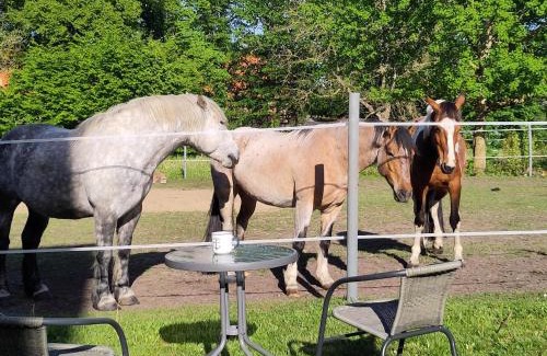 Rubkow Apartment | Ferienwohnung zur Pferdekoppel