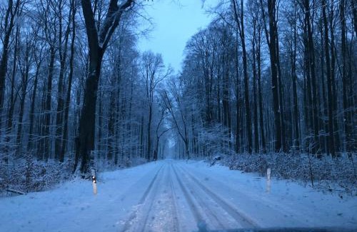 Weggun Apartment | Ferienwohnungen am Fuße des Schlosses