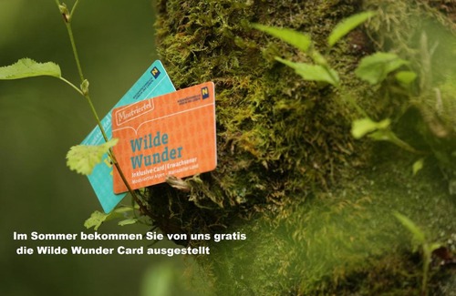 Goestling an der Ybbs Apartment | Ferienwohnungen Orth