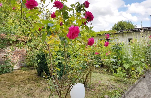Wolgast Apartment | Fewo Böhle in the parental home of the painter Runge - Fewo im Elternhaus Runge