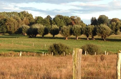 Prebberede Apartment | FeWo Honighof Hümmling