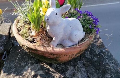 Mobisburg-Rhoda Apartment | FeWo im Lehm-Fachwerkhaus Erfurt mit 3 einzelnen Schlafzimmern je mit TV