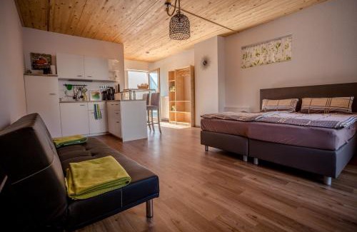 Mainz-Bingen Apartment | FeWo Kabine 11/Terrasse/Innenstadt