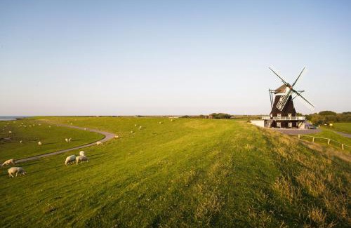 Pellworm Apartment | Fewo Nordermühle