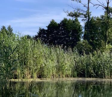 Eggesin Apartment | Fewo-Romuli