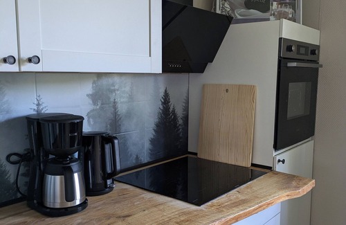 Bockswiese Apartment | FeWo Waldseeblick directly on the Liebesbankweg and Oberharzer Wasserregal