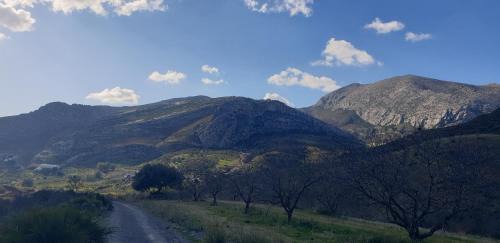Valle de Abdalagis House | Finca Altozano - Private pool - Unique client