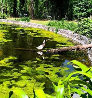 Campo Quijano Hotel | Finca El Milagro